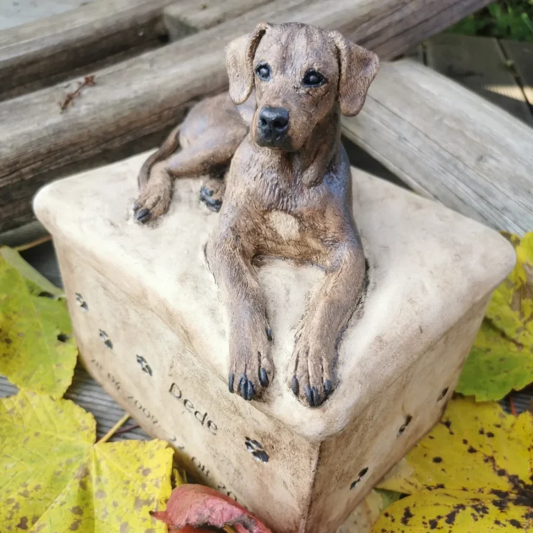 Ridgeback auf seiner Urne